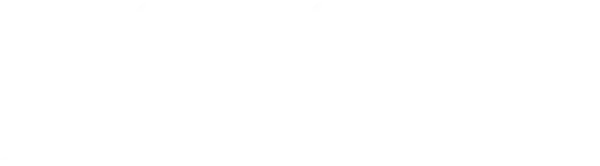 Livizit
